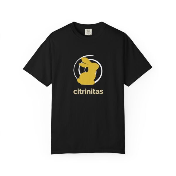 Citrinitas — Golden Awakening Rabbit Tee