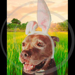 bree rabbit art print spiritual spiral guardian download