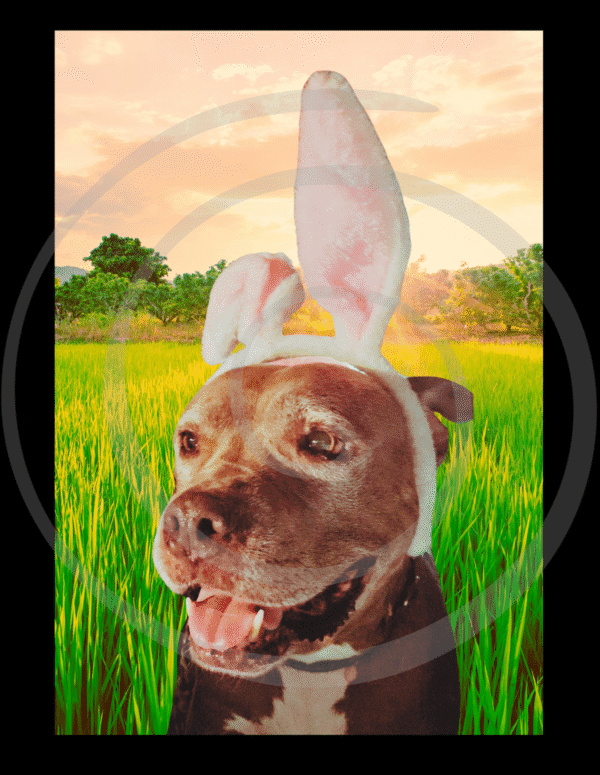 bree rabbit art print spiritual spiral guardian download