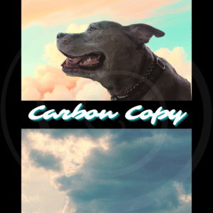 carbon copy art print of dog mirrored in clouds