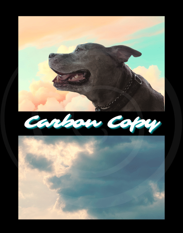 carbon copy art print of dog mirrored in clouds
