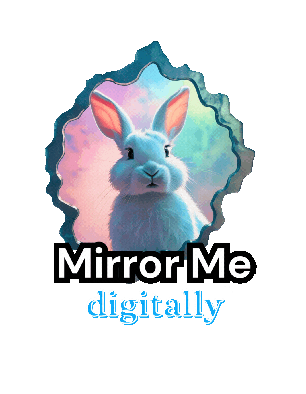 Mirror Me Digitally™ portal entrance
